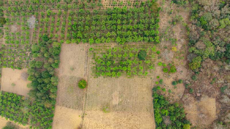 Farming on Someone Else's Land: Risks, Contracts, and Protection