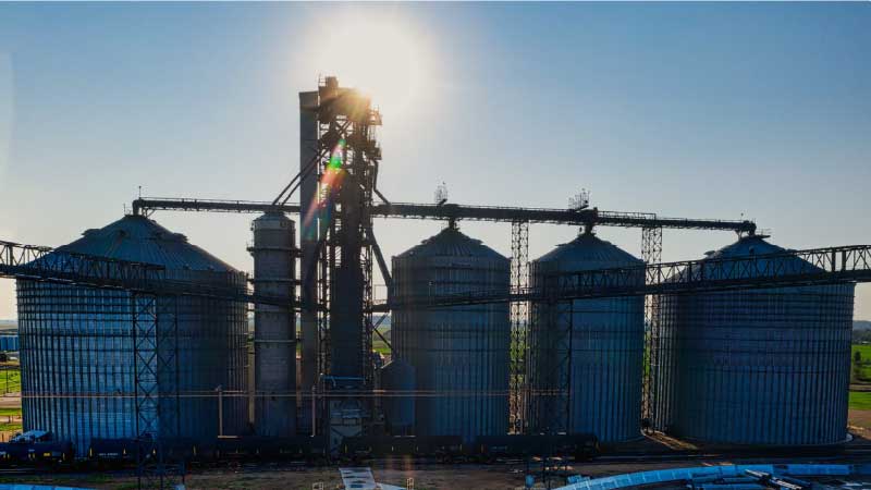 How to Start a Feed Mill Business (For Yourself + Selling)